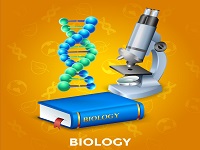blog_small_img1